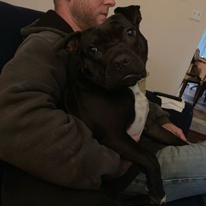 Meet your Posher, Haley